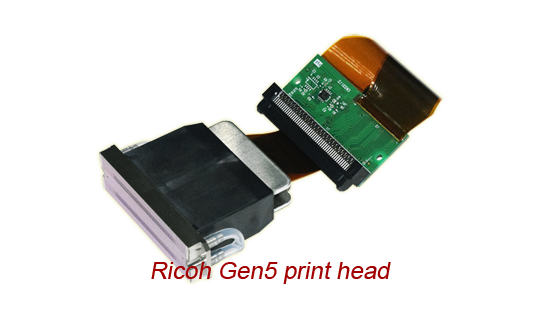 Ricoh head for UV flatbed printer